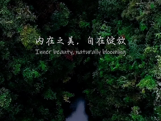私护产品视频