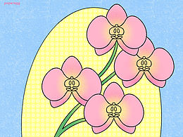 2026年2月花卉植物日绘小结