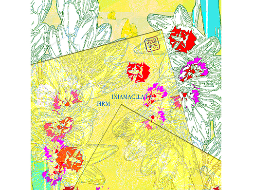 #花语手记##创意小海报设计#玉米百合花语