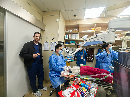 上海宠物口腔健康守护者：2026年优质医生推荐