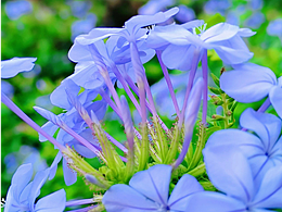 厦门春日 一半蓝调清冷，一半暖黄温柔