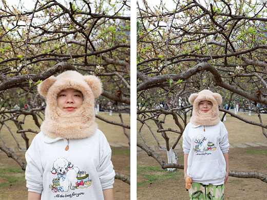 2026逛龙潭·人物篇