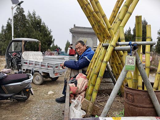 庙会上卖甘蔗的大叔