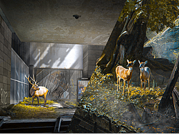 《混凝土上的蹄声》