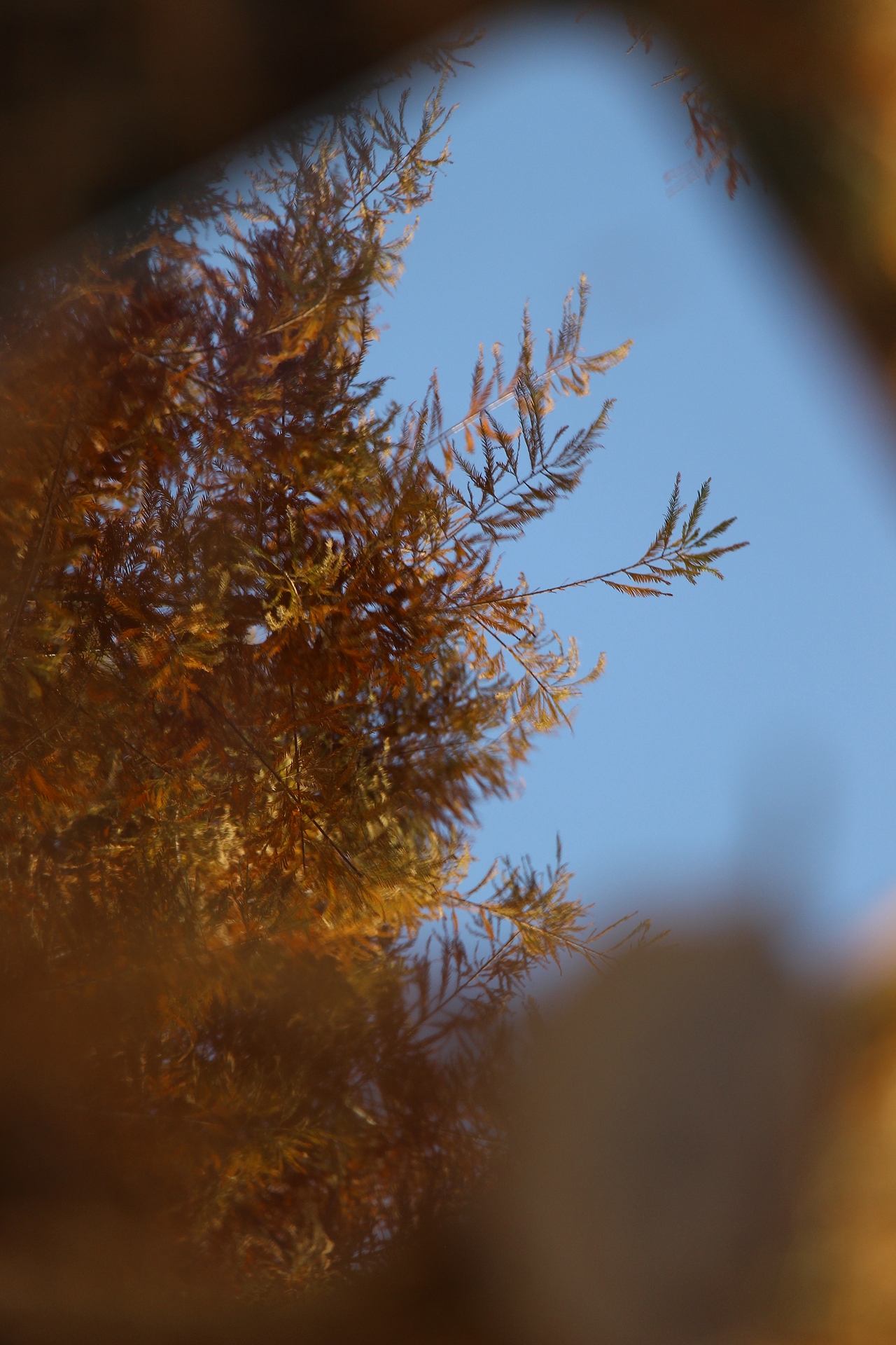 镜花（图ZNDAzMzEzMDE2） - 风光摄影 - 站酷设计师栗栗籽原创素材 - 站酷ZCOOL