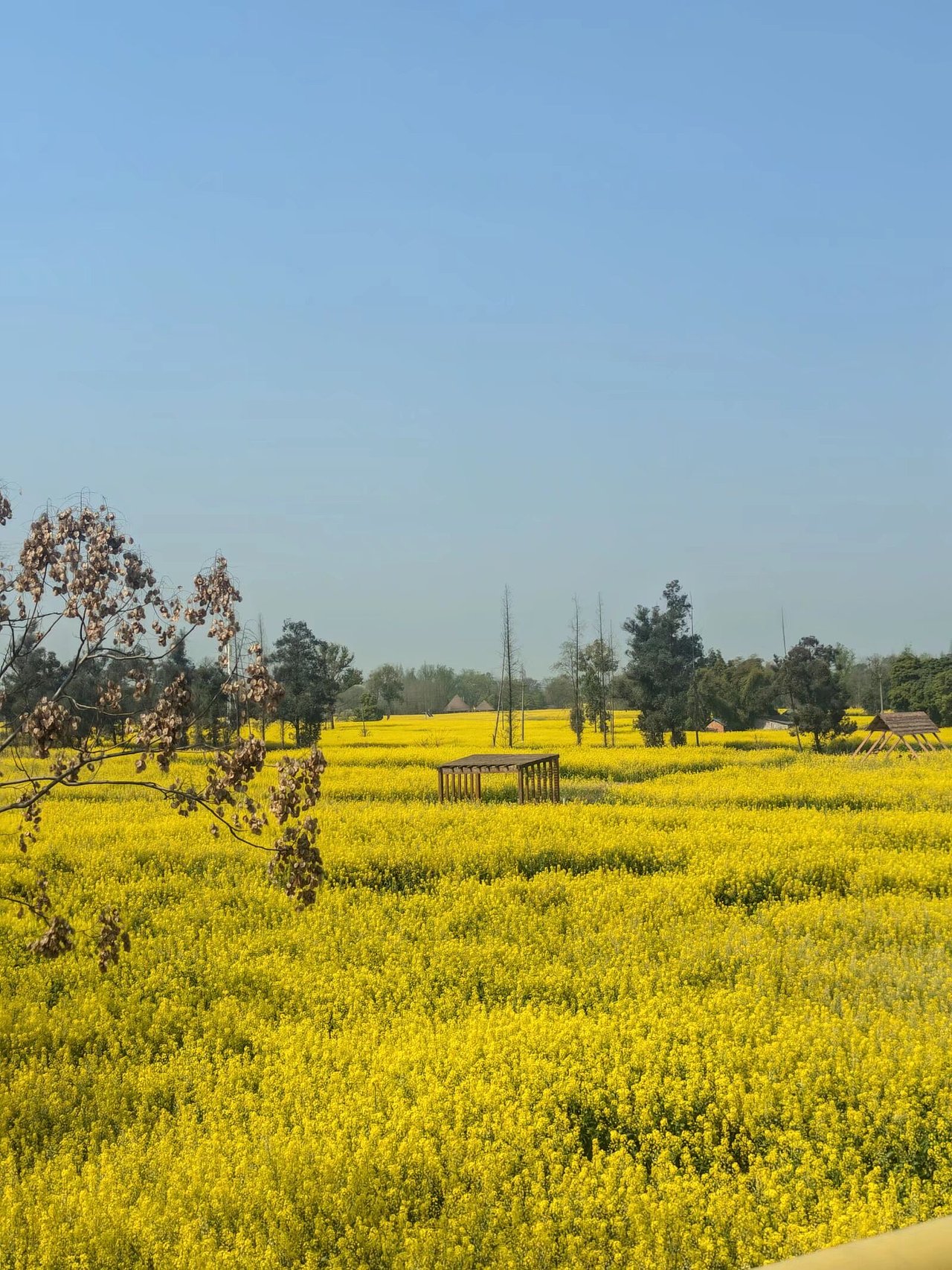 山边村风景花海（图ZNDAzMzE1MzU2） - 人像摄影 - 站酷设计师大肥猫时光机原创素材 - 站酷ZCOOL