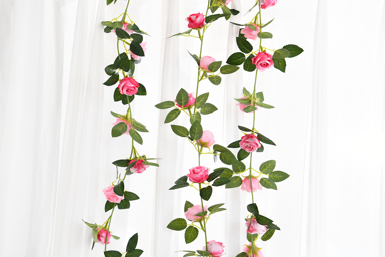 花朵摄影作品集（图ZNDAzMzE1NTg4） - 产品摄影 - 站酷设计师拾光成像原创素材 - 站酷ZCOOL