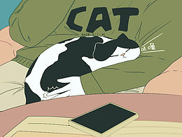 猫咪日常｜2026.2月合集