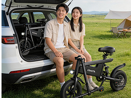 经济款电动助力自行车