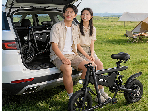 经济款电动助力自行车