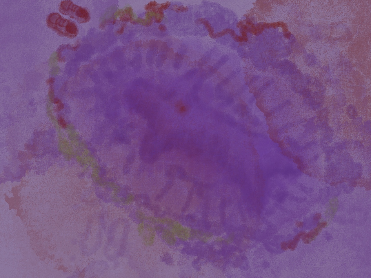 你个异类系列（图ZNDAzMzQ5MjY0） - 概念设定 - 站酷设计师三三0702原创素材 - 站酷ZCOOL