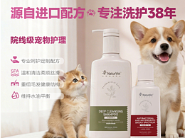 電商主圖設(shè)計