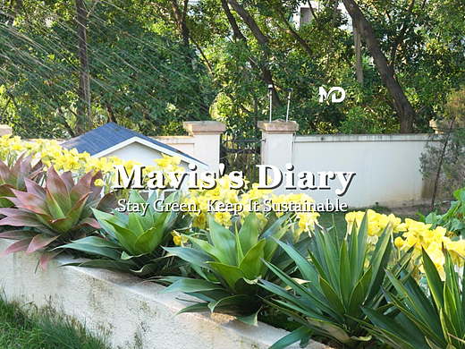 亚马逊主图视频