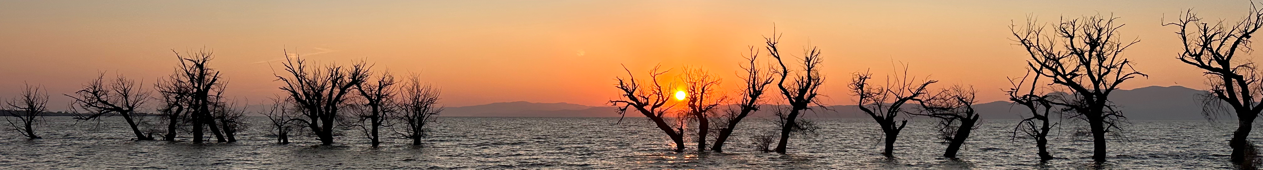 高莲猛作品集的个人主页（封面预览） - 主页封面设置 - 站酷设计师高莲猛作品集原创素材 - 站酷ZCOOL