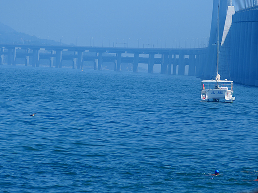 以雄鹰为翼，赴雪域之约，读仓央的温柔
