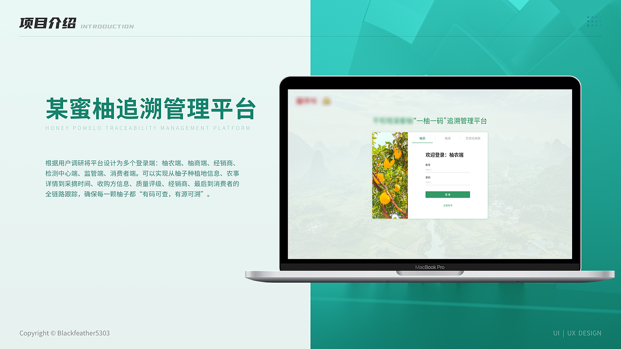 2025UI作品集（图ZNDAzMzkwMjA4） - 软件界面 - 站酷设计师Blackfeather5303原创素材 - 站酷ZCOOL