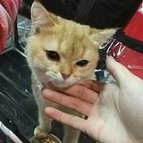 ys生的头像