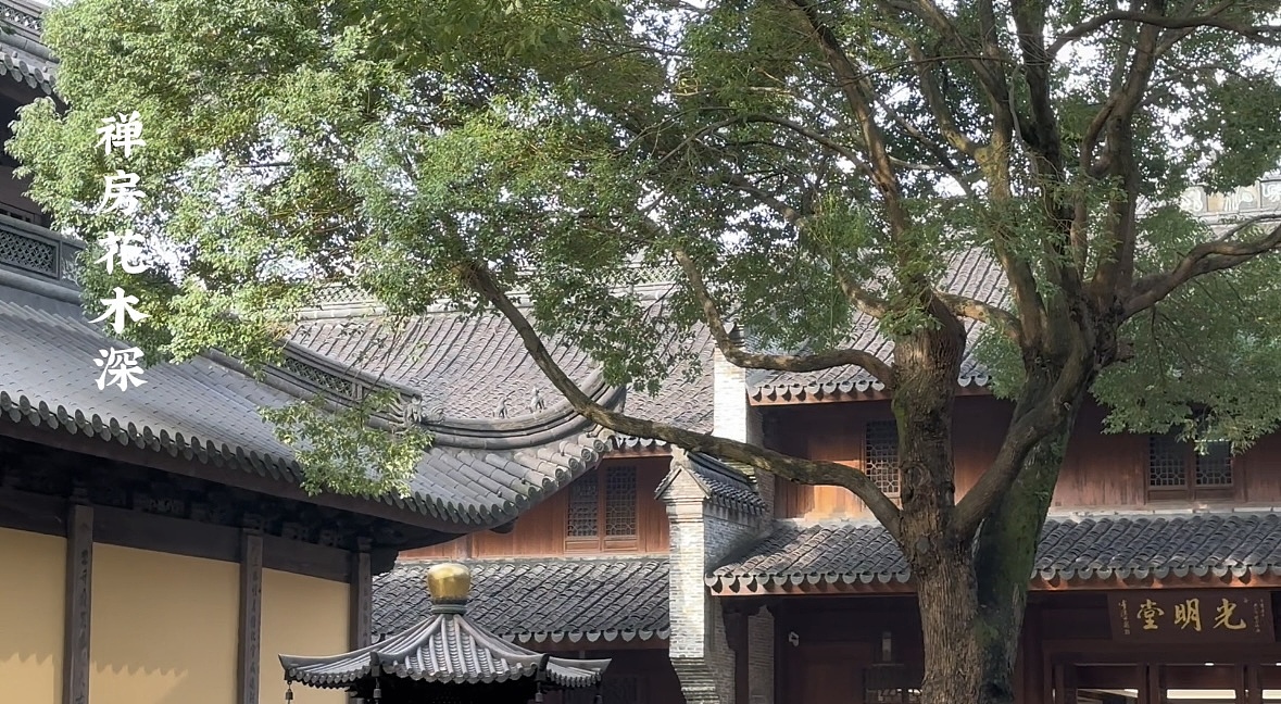 《题破山寺后禅院》个人拍摄剪辑（图ZNDAzNDIwNzYw） - 其他 - 站酷设计师好运_7原创素材 - 站酷ZCOOL