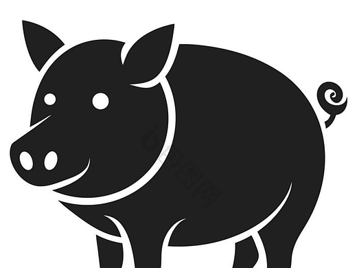 女装春季宣传、店铺主图视频、产品细节视频