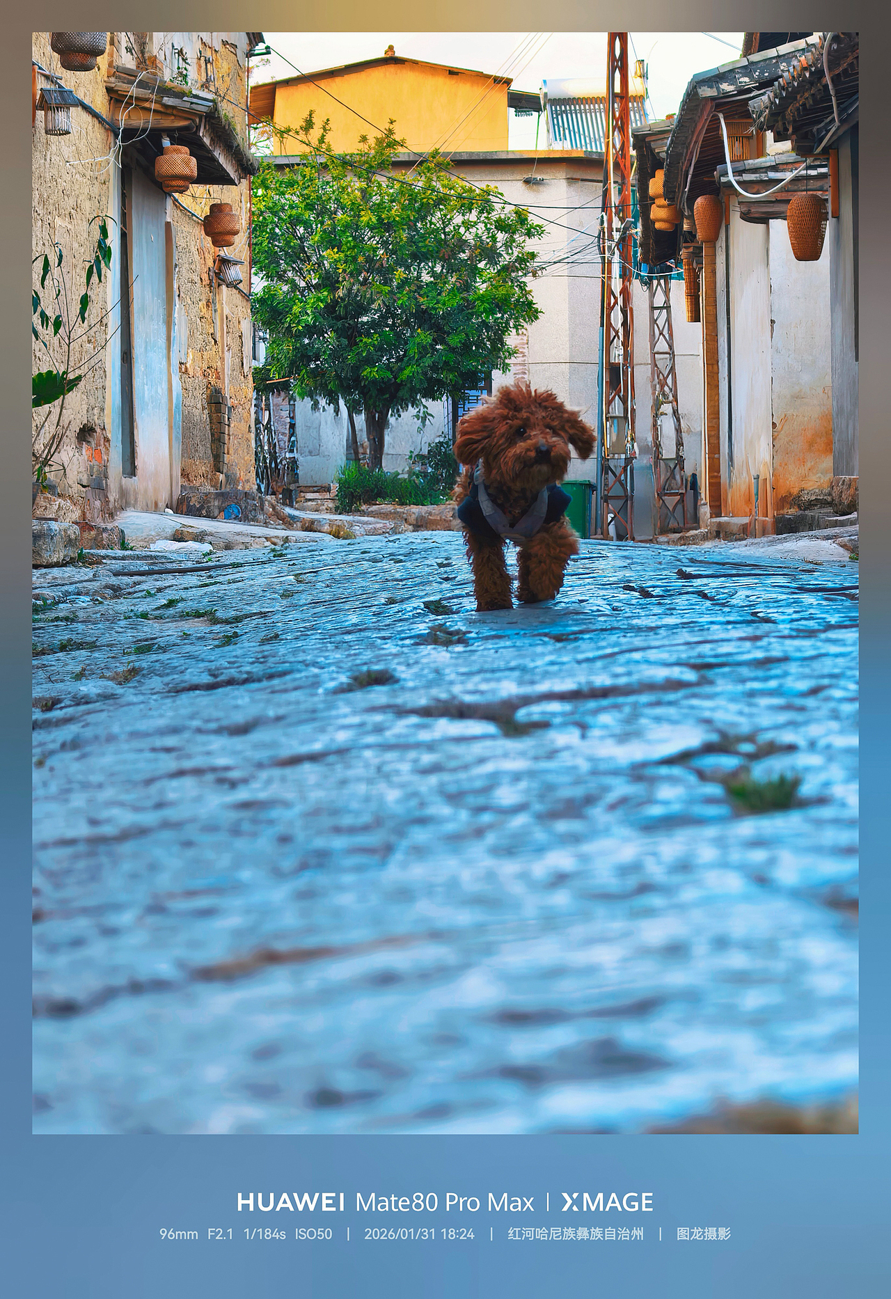 踏入1909年的滇越铁路站，邂逅法式滇南风情（图ZNDAzNDM2MjQ4） - 人文/纪实摄影 - 站酷设计师图龙摄影原创素材 - 站酷ZCOOL