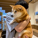 夕月xiyue的头像