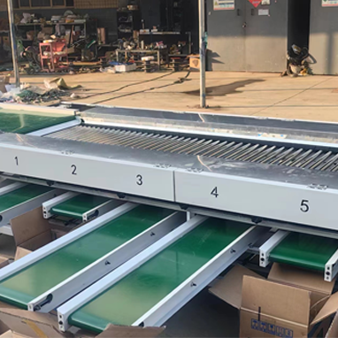 2026年知名冬枣分选机厂商排行情况大揭秘（图ZMTU0NTM5ODQ=） - 资讯 - 站酷设计师Z678933025原创素材 - 站酷ZCOOL