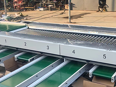 2026年知名冬枣分选机厂商排行情况大揭秘