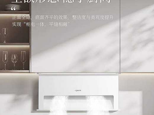 全嵌入隐藏烟机详情
