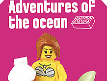 乐高赛事-宣传物料