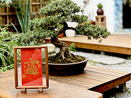 唐旅平 非遗金箔书法 招财进宝系列