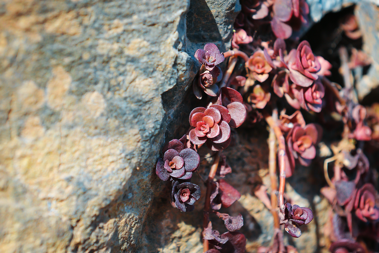 青泥岭随拍（图ZNDAzNTQ1OTcy） - 人文/纪实摄影 - 站酷设计师金徽高旭原创素材 - 站酷ZCOOL