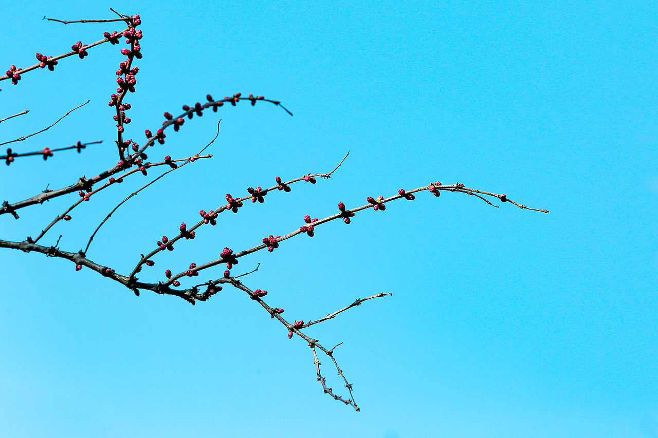 青泥岭随拍（图ZNDAzNTQ1OTgw） - 人文/纪实摄影 - 站酷设计师金徽高旭原创素材 - 站酷ZCOOL