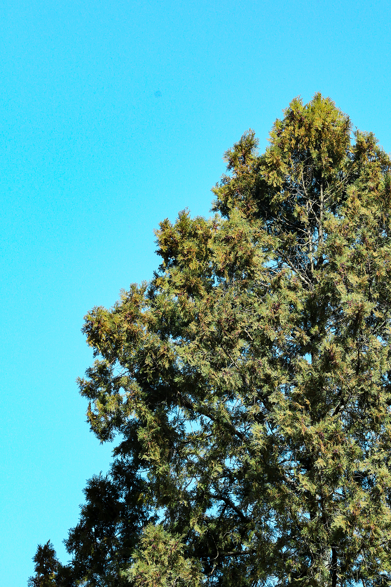 青泥岭随拍（图ZNDAzNTQ1OTY0） - 人文/纪实摄影 - 站酷设计师金徽高旭原创素材 - 站酷ZCOOL