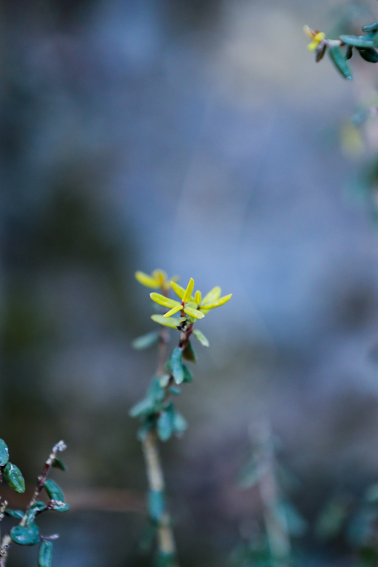 青泥岭随拍（图ZNDAzNTUyMzky） - 人文/纪实摄影 - 站酷设计师金徽高旭原创素材 - 站酷ZCOOL