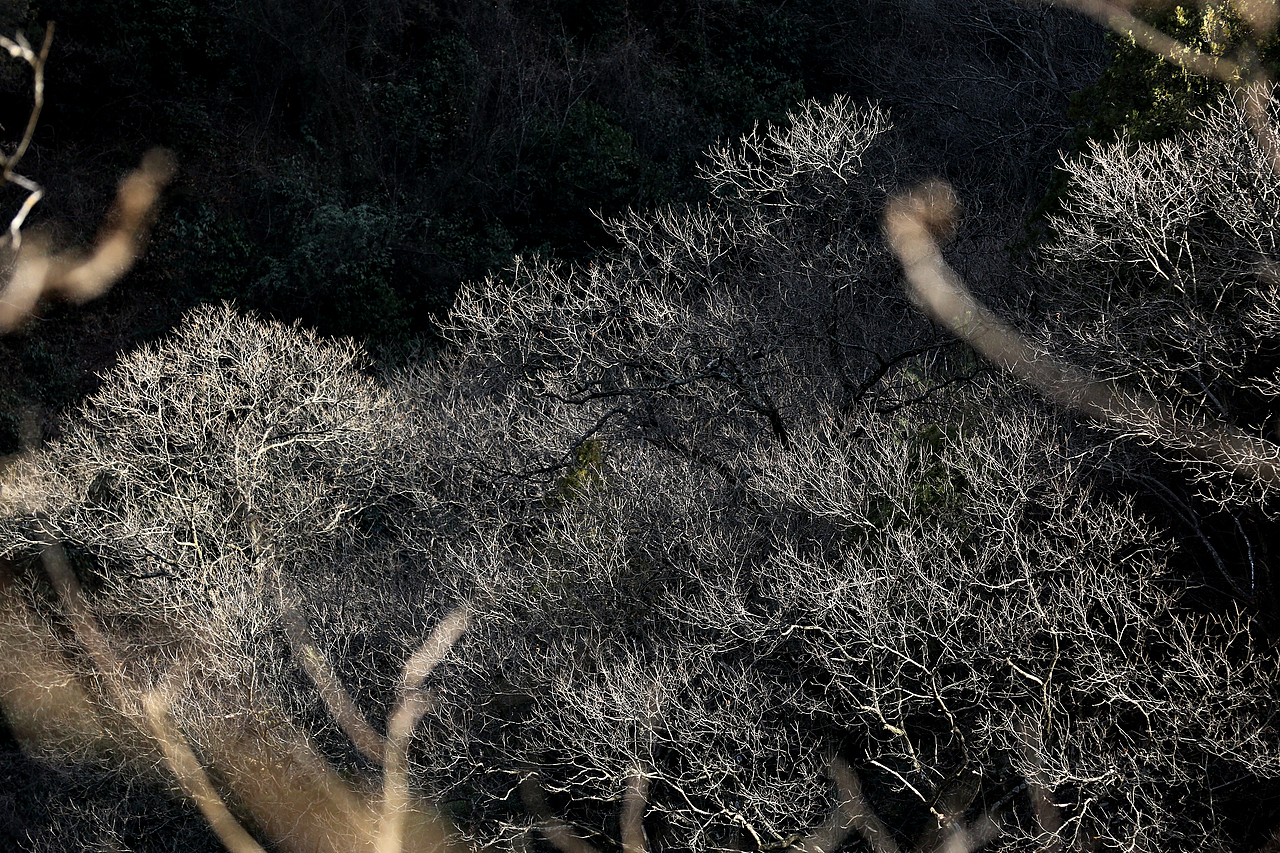 青泥岭随拍（图ZNDAzNTUyNDEy） - 人文/纪实摄影 - 站酷设计师金徽高旭原创素材 - 站酷ZCOOL