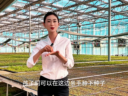 承载梦想的种子