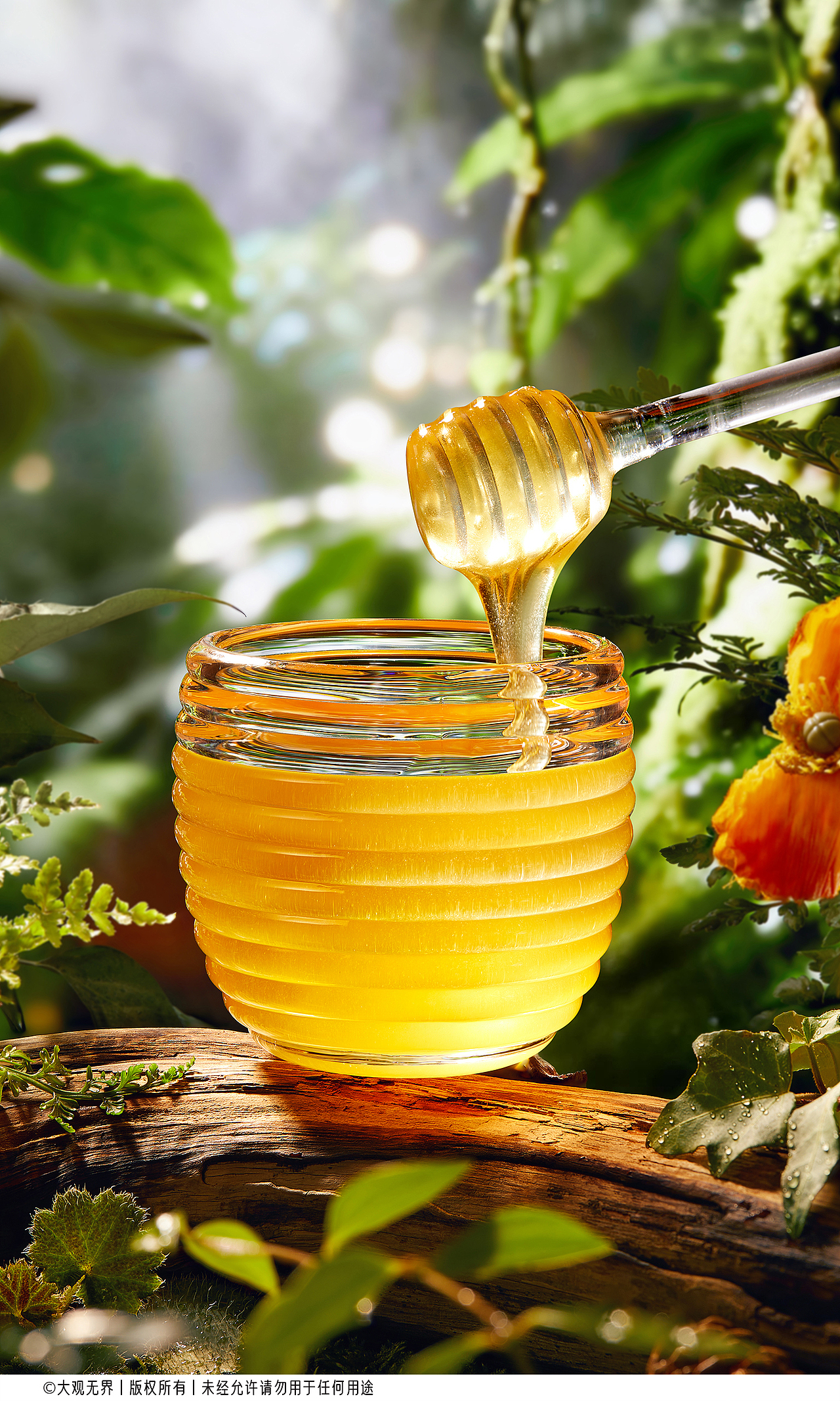📸电商摄影｜蜂蜜拍摄（图ZNDAzNjAxMTM2） - 美食摄影 - 站酷设计师大观无界原创素材 - 站酷ZCOOL
