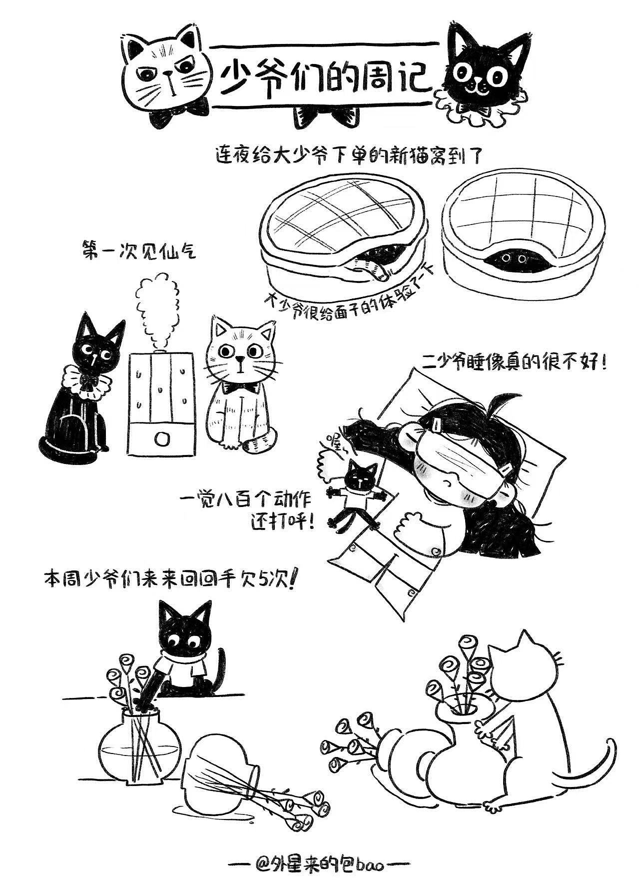 拖延症画手和废材写手的合租周记4（图ZNDAzNjIxMjQ0） - 单幅漫画 - 站酷设计师外星来的包bao原创素材 - 站酷ZCOOL