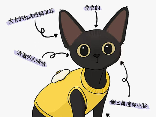 我的小猫长大啦～