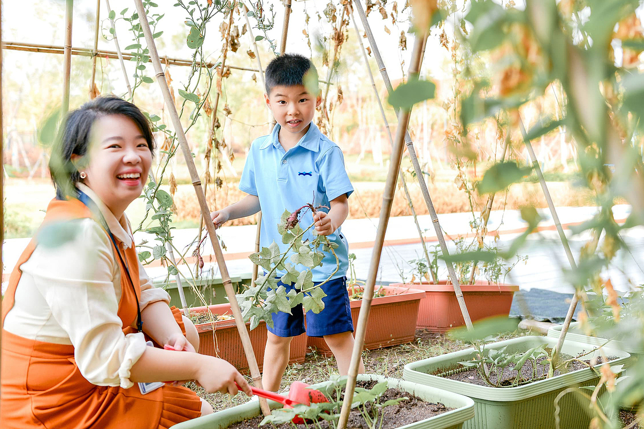 深圳明湾学校（设计师版）（图ZNDAzNjMwNDI4） - 品牌 - 站酷设计师RIFLING蔡依东原创素材 - 站酷ZCOOL