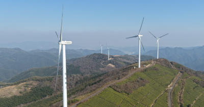 宁波高山生态高端名优红茶企业盘点，品质之选在此（图ZMTU0NjA2NDA=） - 资讯 - 站酷设计师Z678933025原创素材 - 站酷ZCOOL