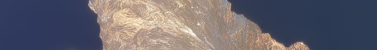 Z42281255的个人主页（封面预览） - 主页封面设置 - 站酷设计师Z42281255原创素材 - 站酷ZCOOL