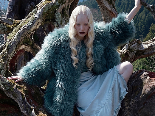 数字摄影作品：树的肌理是另一种大地