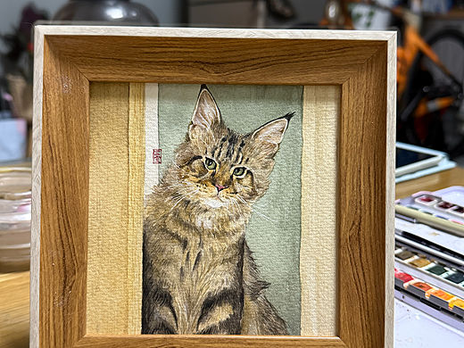 水彩画 | 一只偷偷观察的缅因