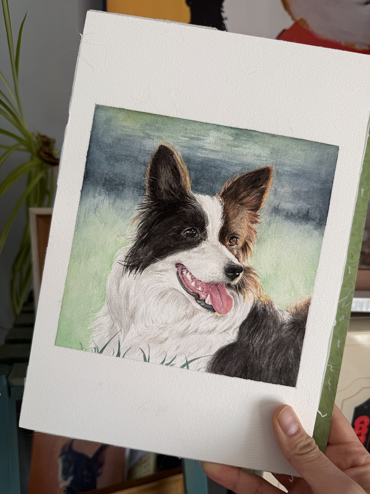 水彩画 | 阳光边牧宠物画像（图ZNDAzNjkwMTYw） - 绘画 - 站酷设计师不贰水彩原创素材 - 站酷ZCOOL