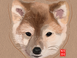 狗狗