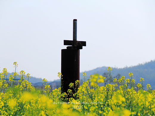 春和景明，万物生长