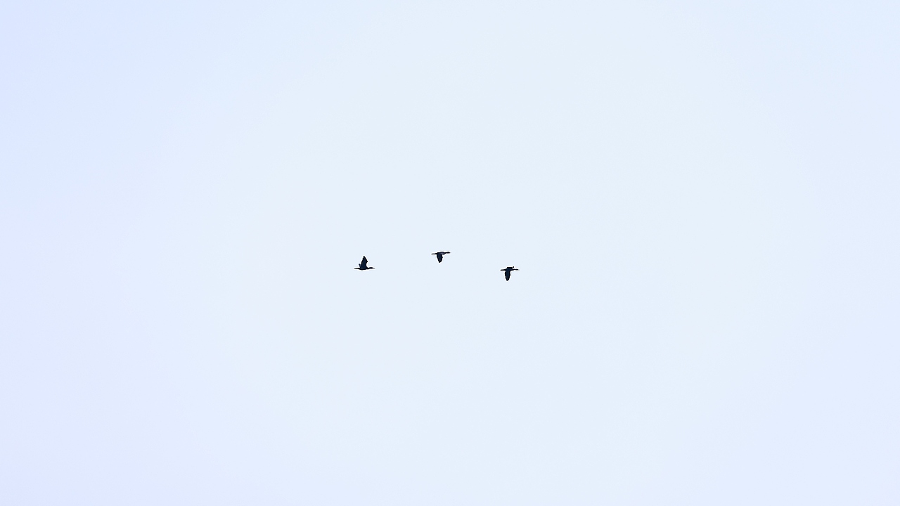 踏春（图ZNDAzNzEwMDEy） - 其他摄影 - 站酷设计师Z401259515原创素材 - 站酷ZCOOL