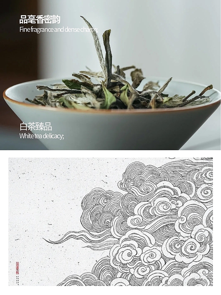 白毫银针/茶叶礼盒设计（图ZNDAzNzM1MDg4） - 包装 - 站酷设计师王瑜启原创素材 - 站酷ZCOOL