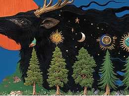 闯入神秘森野幻境